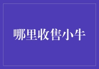 中国各地收售小牛的渠道与市场分析