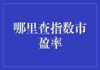 股市新手必备：指数市盈率查询指南——让投资变得简单有趣！