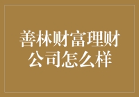 善林财富理财公司：平台善林的理财战略与经营实践分析