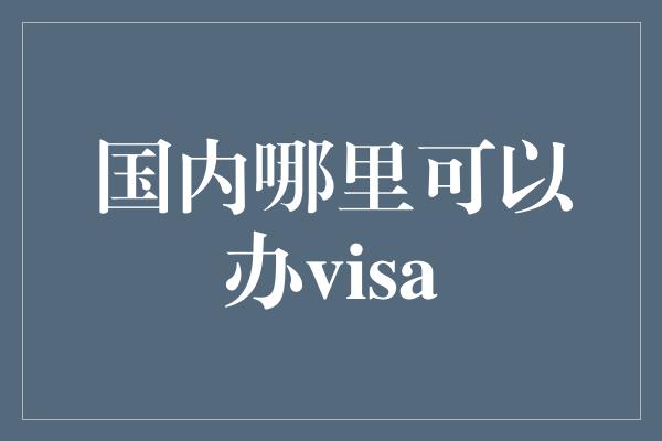 国内哪里可以办visa