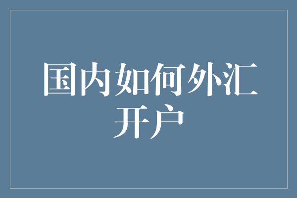 国内如何外汇开户