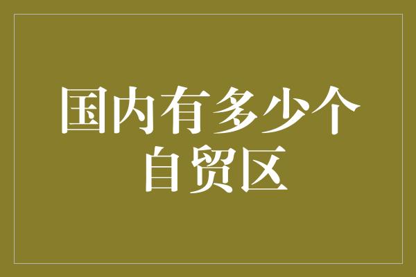 国内有多少个自贸区