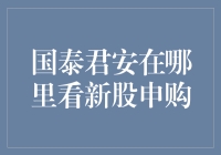 国泰君安在线新股申购流程详解：便捷通道，开启投资新篇章