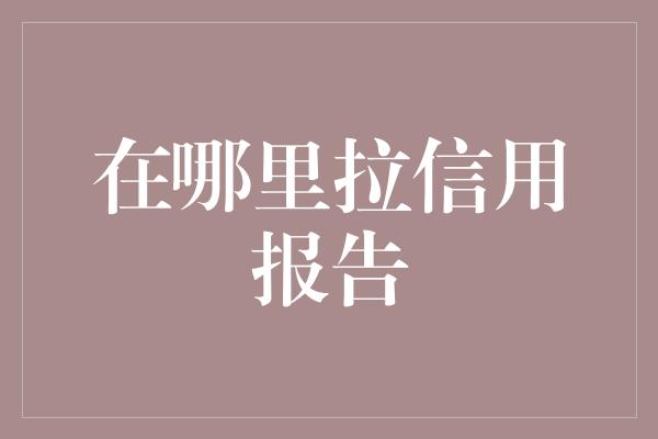 在哪里拉信用报告