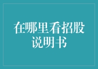 如何获取并理解招股说明书：为投资者提供有效信息的一站式指南