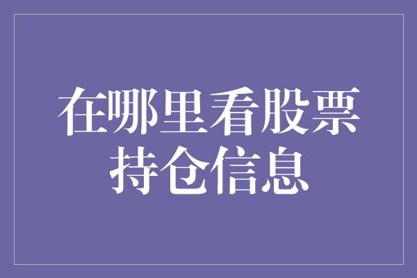 在哪里看股票持仓信息