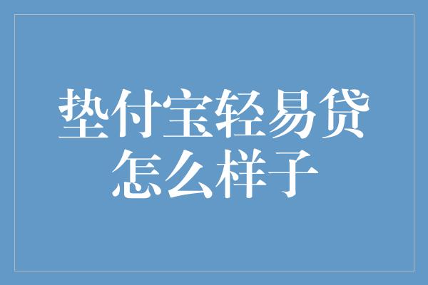 垫付宝轻易贷怎么样子