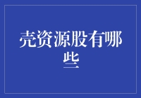 壳资源股：被低估的潜力股，价值投资的新机遇