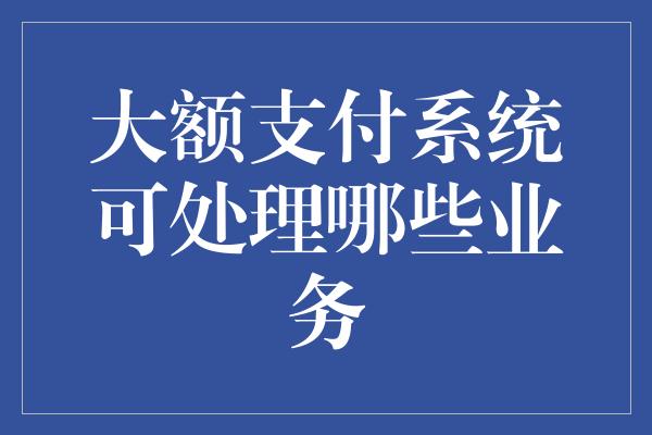 大额支付系统可处理哪些业务