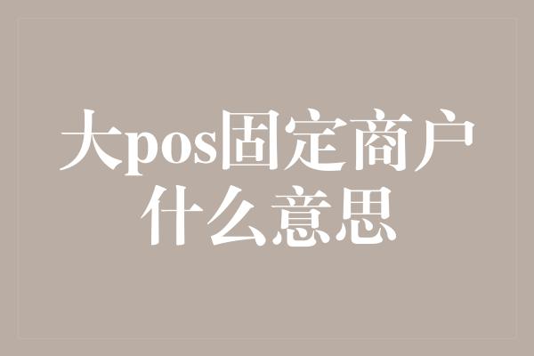 大pos固定商户什么意思