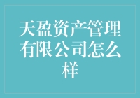 天盈资产管理有限公司：构筑稳健财富管理的基石