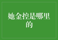 她金控是哪里的？探秘新兴金融科技平台！