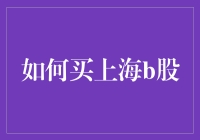 如何在海市蜃楼般的B股市场中捕获那只隐形鲸鱼