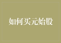 投资者如何正确理解和购买元始股：策略与陷阱