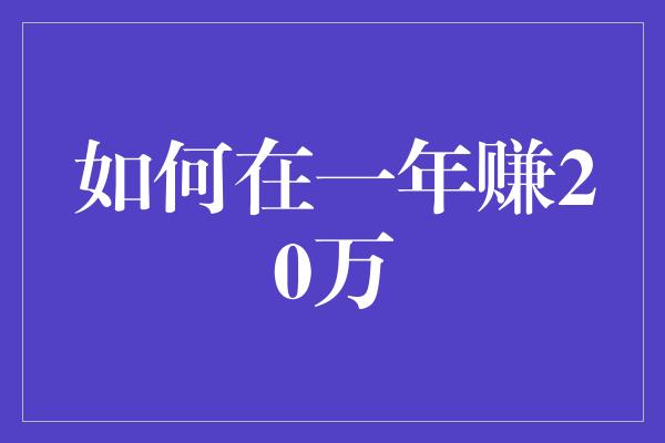 如何在一年赚20万