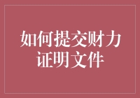 如何提交财力证明文件：一份严谨的操作指南