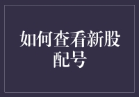 如何科学地查看新股配号：新手投资者的指导手册