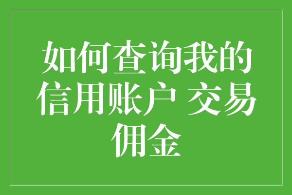 如何查询我的信用账户 交易佣金