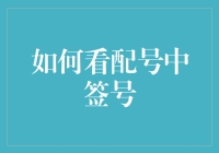 如何看配号中签号：股市新手必读指南