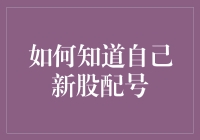 如何在新股申购中找到自己的配号：策略与技巧解析