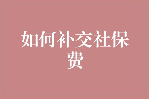 如何补交社保费