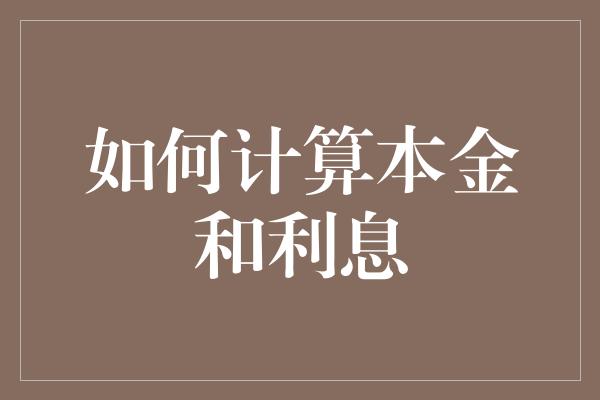 如何计算本金和利息