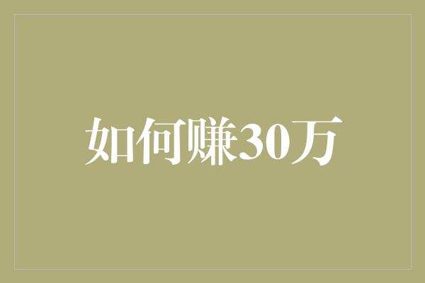 如何赚30万