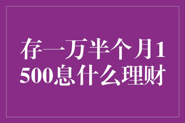 存一万半个月1500息什么理财