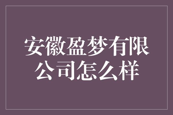 安徽盈梦有限公司怎么样