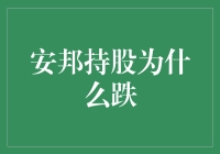 安邦之谜：持股为何变成了跌跌不休？