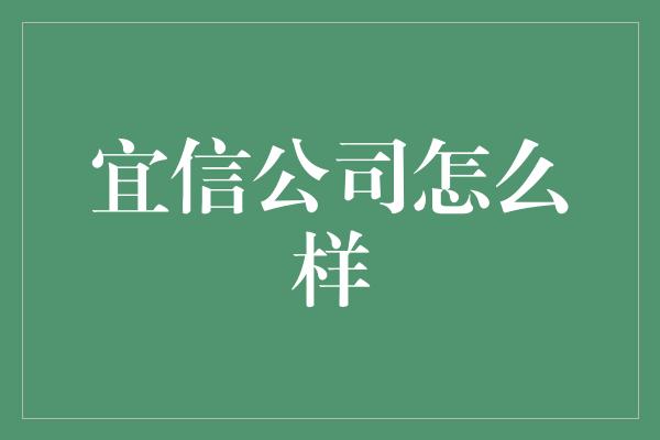 宜信公司怎么样