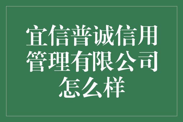 宜信普诚信用管理有限公司怎么样