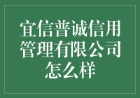 宜信普诚信用管理有限公司：信用管理行业的创新者