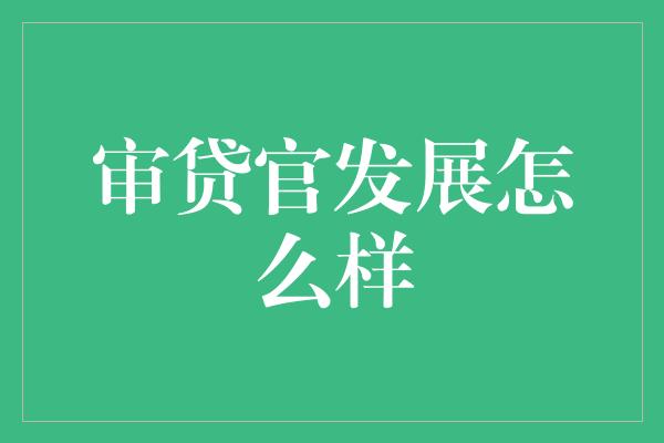 审贷官发展怎么样