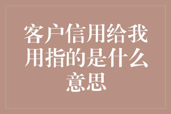 客户信用给我用指的是什么意思