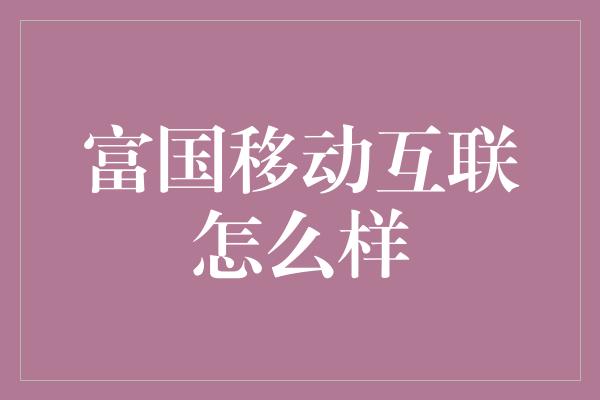 富国移动互联怎么样