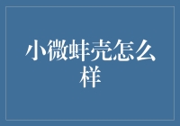 小微蚌壳行不行？我们来揭秘！