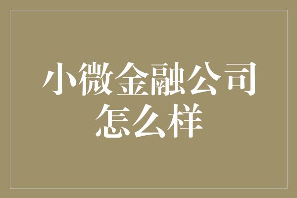 小微金融公司怎么样