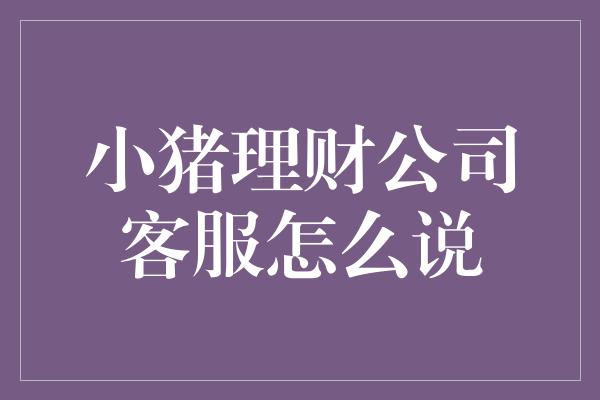 小猪理财公司客服怎么说