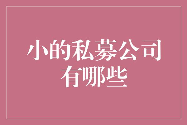 小的私募公司有哪些