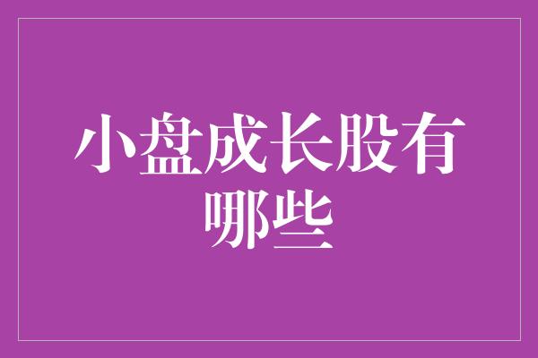 小盘成长股有哪些