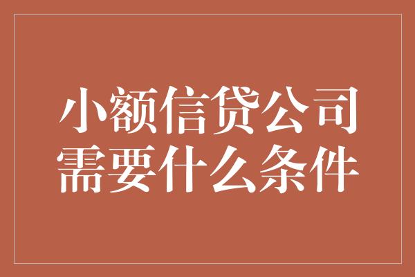 小额信贷公司需要什么条件