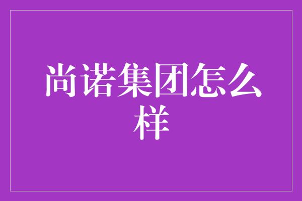 尚诺集团怎么样