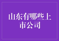 山东上市公司全景扫描：探索齐鲁大地的经济脉搏