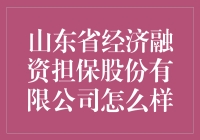 山东省经济融资担保股份有限公司：稳健发展，助力山东经济腾飞