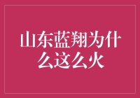 山东蓝翔技校：教育创新与职业培训的燎原之火