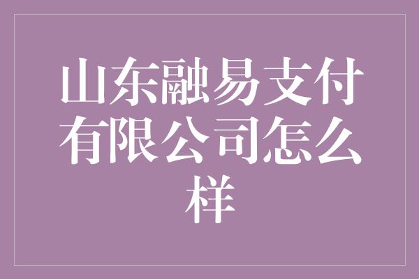 山东融易支付有限公司怎么样