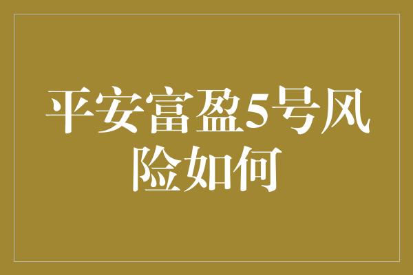 平安富盈5号风险如何