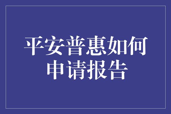 平安普惠如何申请报告