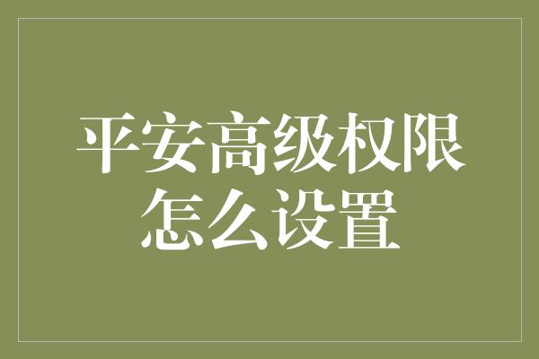 平安高级权限怎么设置